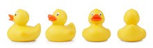 MYOB alignment journal - getting your ducks in a row